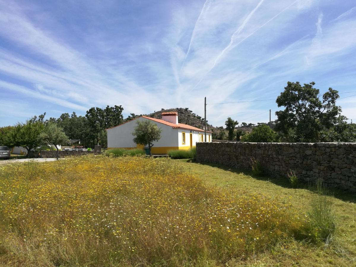 Casa Das Amoras Santo António das Areias Exterior foto